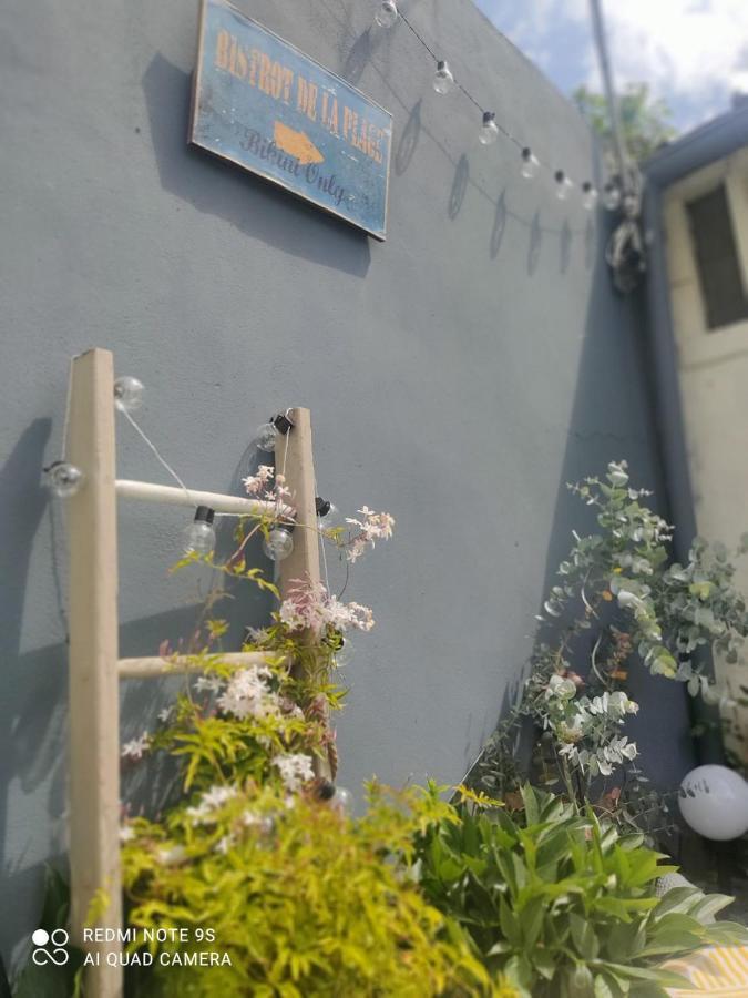 Le Cocon Des Hortillonnages D'Amiens Camon  Eksteriør billede