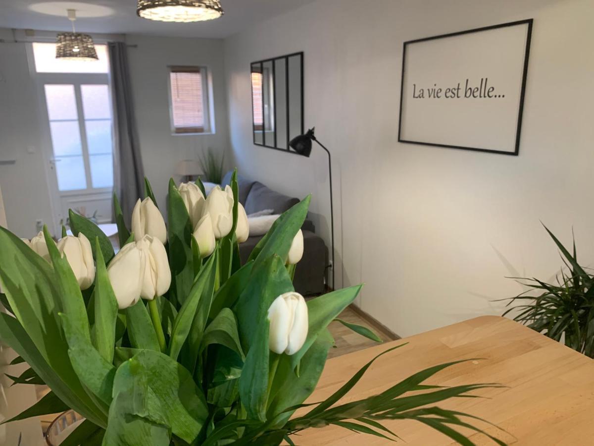 Le Cocon Des Hortillonnages D'Amiens Camon  Eksteriør billede