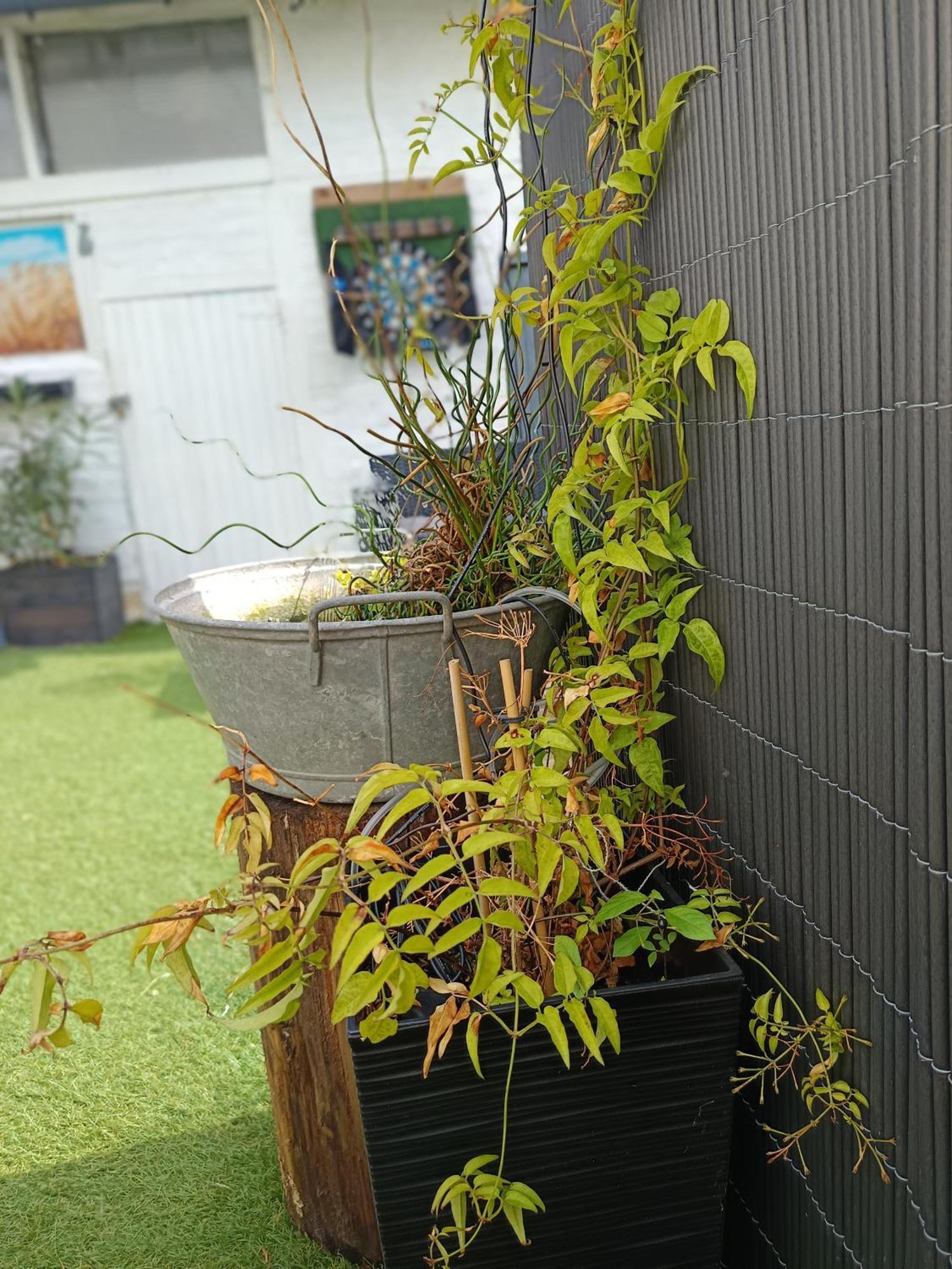 Le Cocon Des Hortillonnages D'Amiens Camon  Eksteriør billede