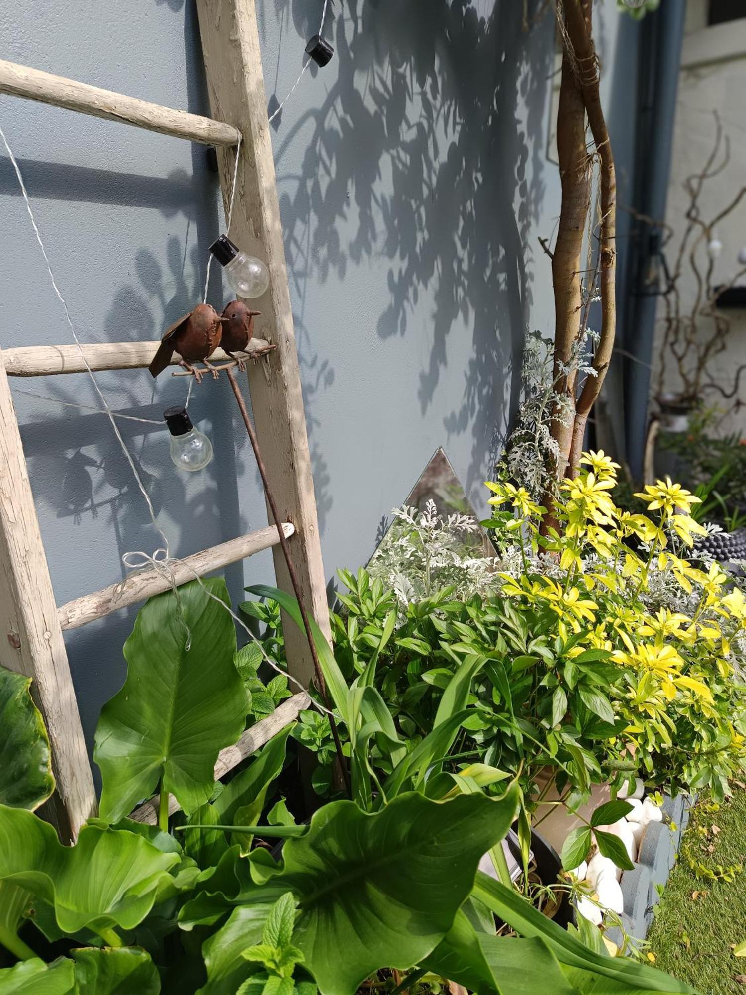 Le Cocon Des Hortillonnages D'Amiens Camon  Eksteriør billede